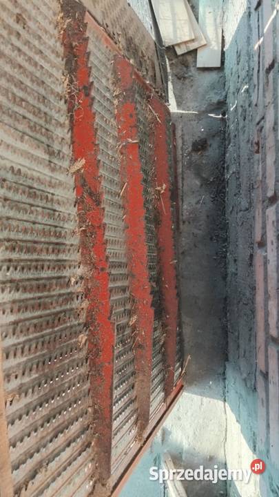 Śita Bizon z040 Leszno sprzedam