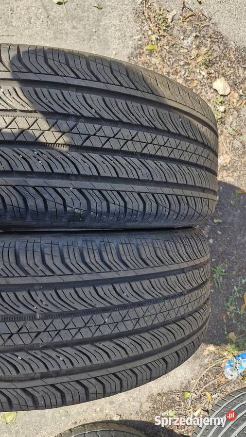 23550r19 99H Continental ProContact tx Samochodowe Myszadła