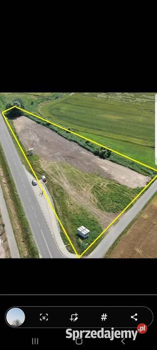 Wynajmę plac 4600m Słopanowo droga 185 Szamotuły wielkopolskie