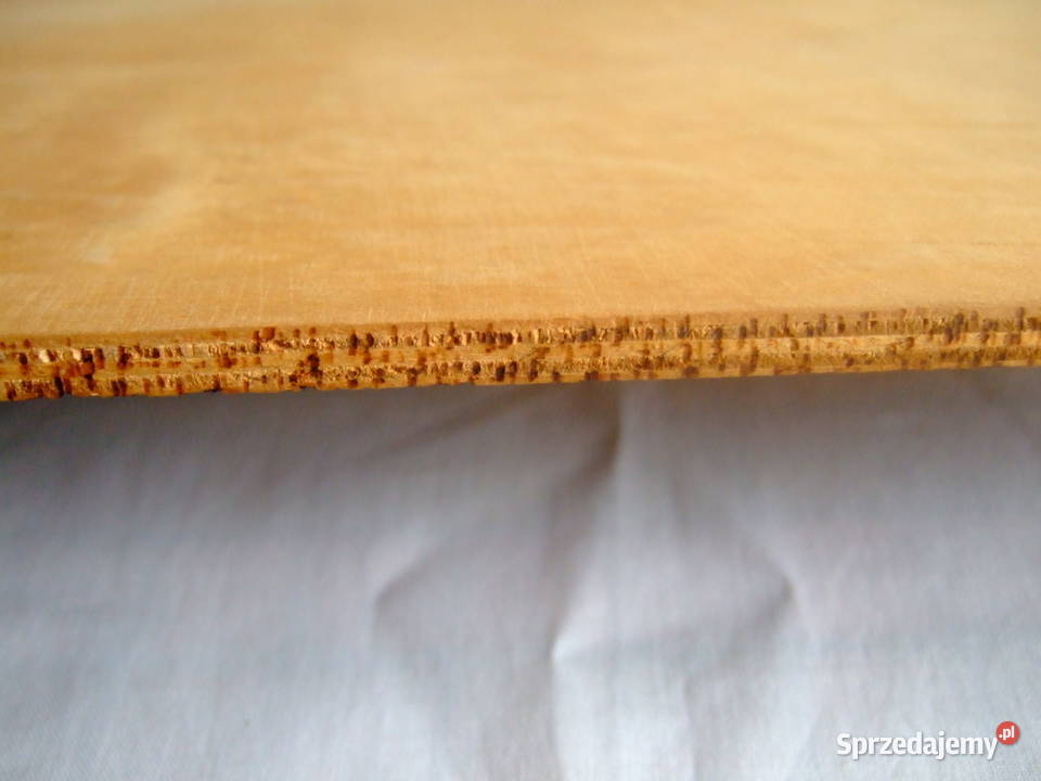 Głowa konia grafika wypalana drewno sklejka