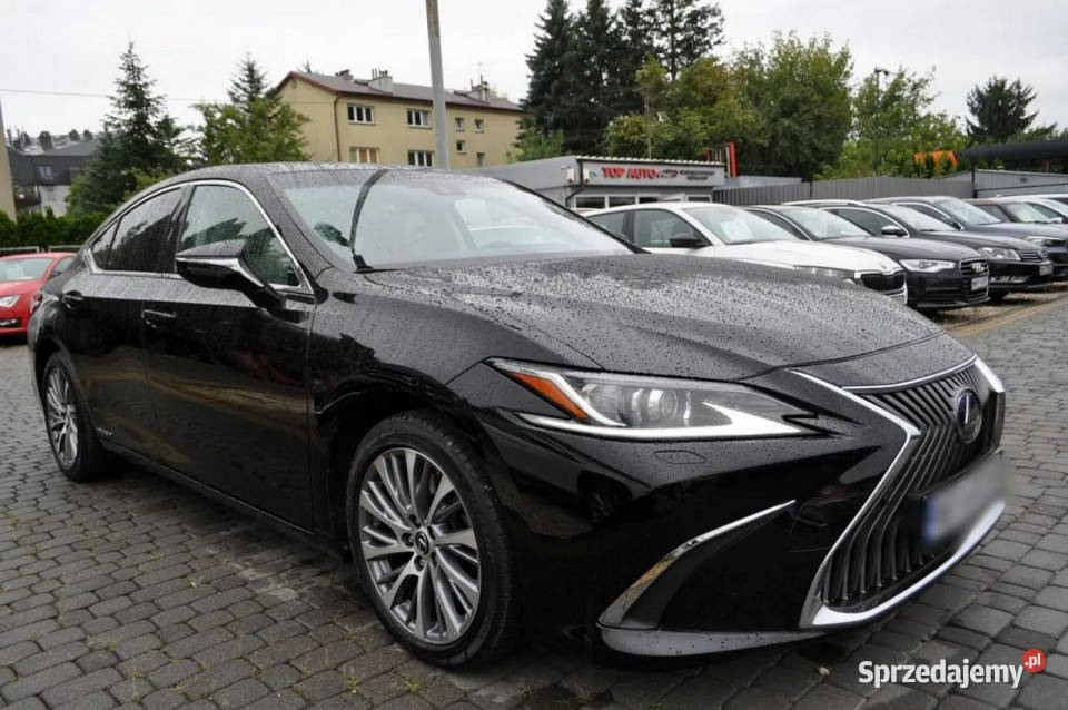 Lexus ES300 LEXUS ES 300h Hybryd Business światła do jazdy dziennej Motoryzacja