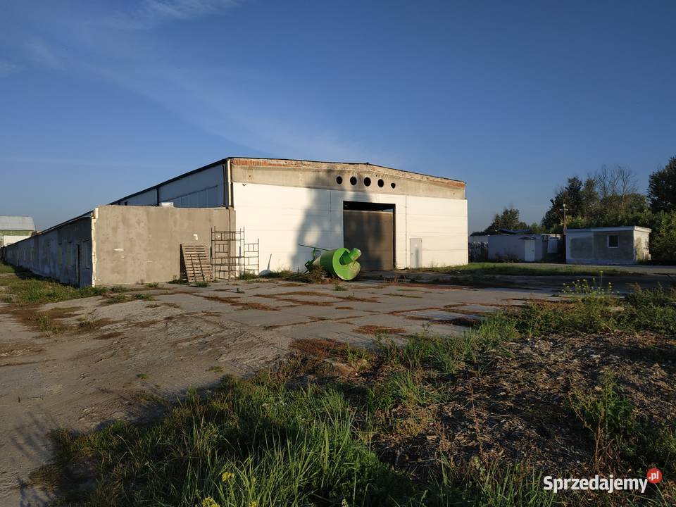 Na sprzedaż zorganizowana część przedsiębiorstwa Boguszyce sprzedam