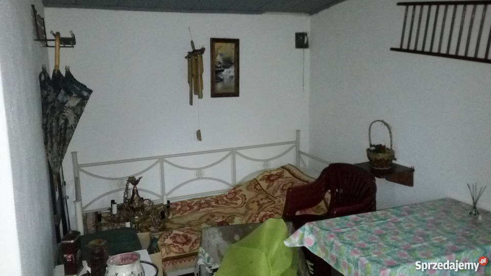 Działka ROD Poznań Złotowska