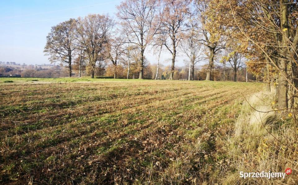 Działka budowlana z widokiem na góry możliwy Grabiszyce Górne