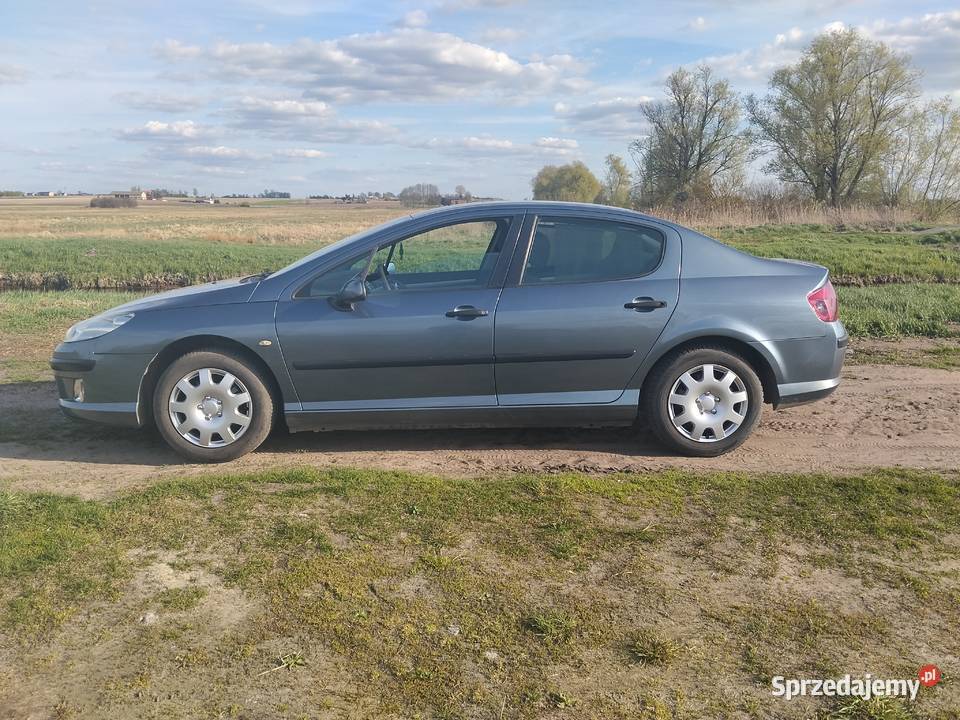 Peugeot 407 18 gaz Łęczyca