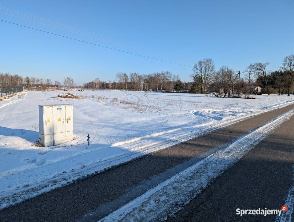 Działka z warunkami zabudowy Sprzedaż mazowieckie Jedlanka sprzedam