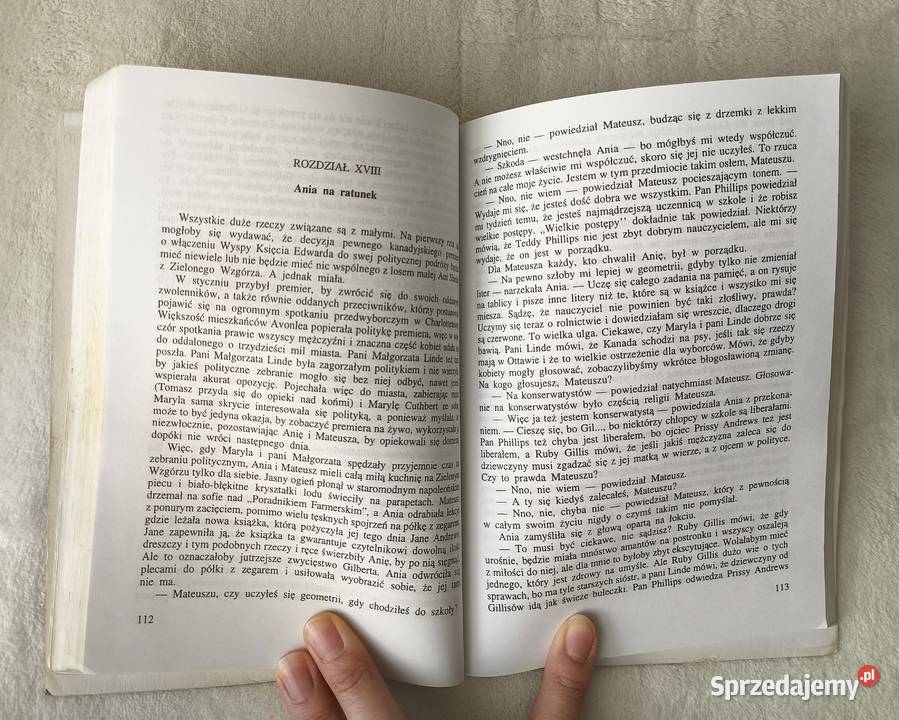 Zestaw książek dzieci i młodzieży duży album Radom