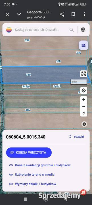 Sprzedam pole orne las 13100m2 sprzedam