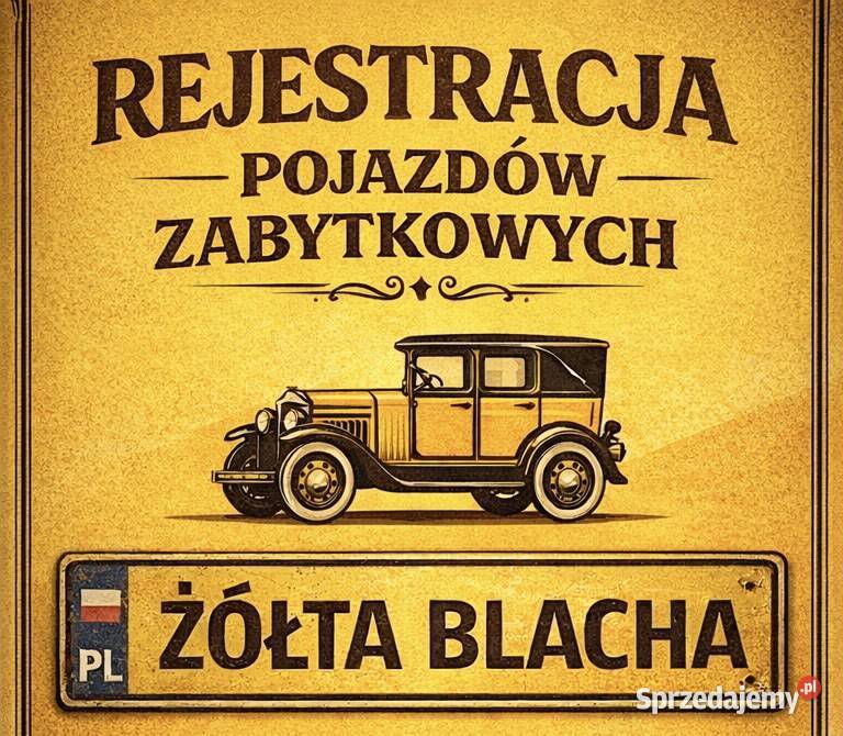 Rzeczoznawca samochodowy Dokumentacja pojazdów Piotrków Trybunalski