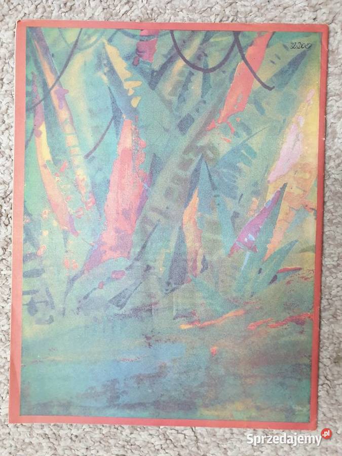 Bolek i Lolek Zwierzęta Serengeti komiks Gdynia