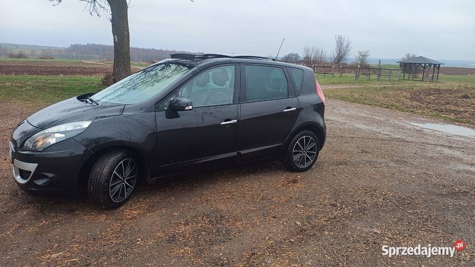 Renault scenic 3 osoba prywatna ful wersja Scenic Cynków