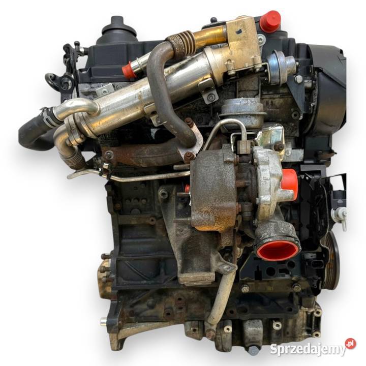 SILNIK BRE Audi A4 B7 A6 C6 20 TDI 140 diesel Chełm