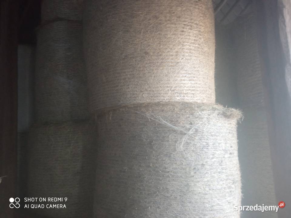 sprzedam siano w balotach Kazimierza Wielka