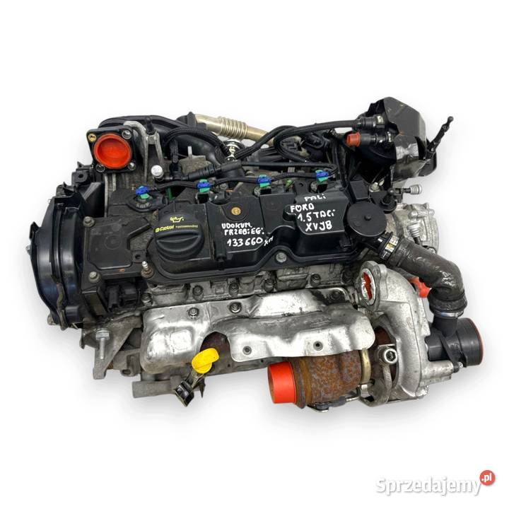 SILNIK XVJB Ford Fiesta VII MK7 B 15 TDCI 95 Chełm