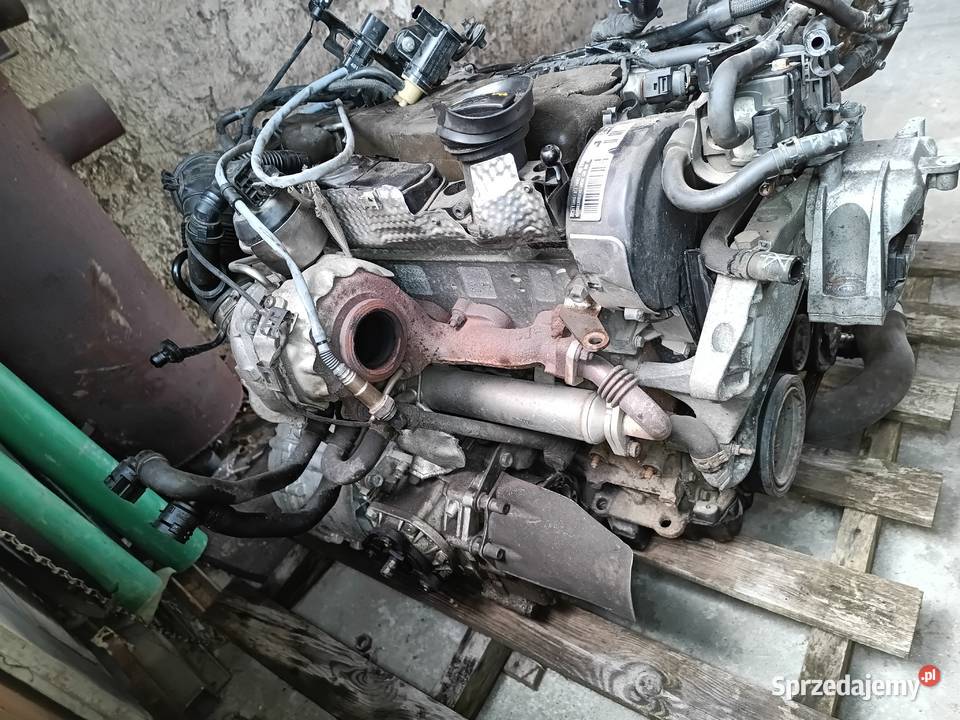 Silnik Skrzynia passat b6 CBAB KNP osobowe Zagórz