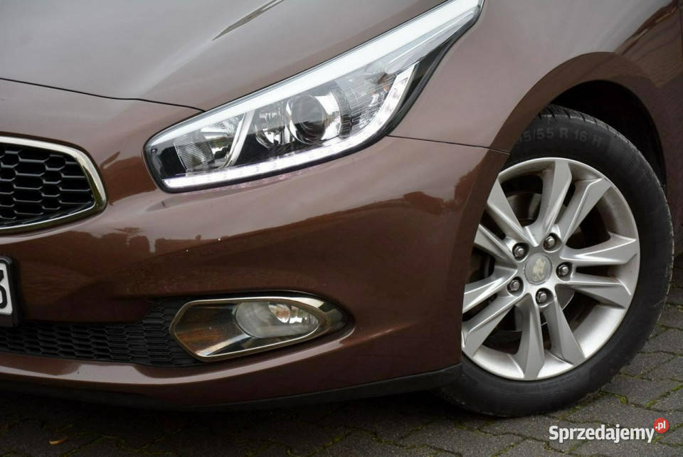 Kia Ceed Platinum Lift Navi Ledy Kamera Kia Ostrów Mazowiecka