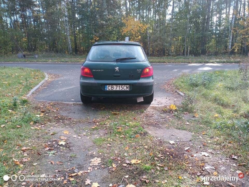 Peugeot 307 nieuszkodzony Solec Kujawski