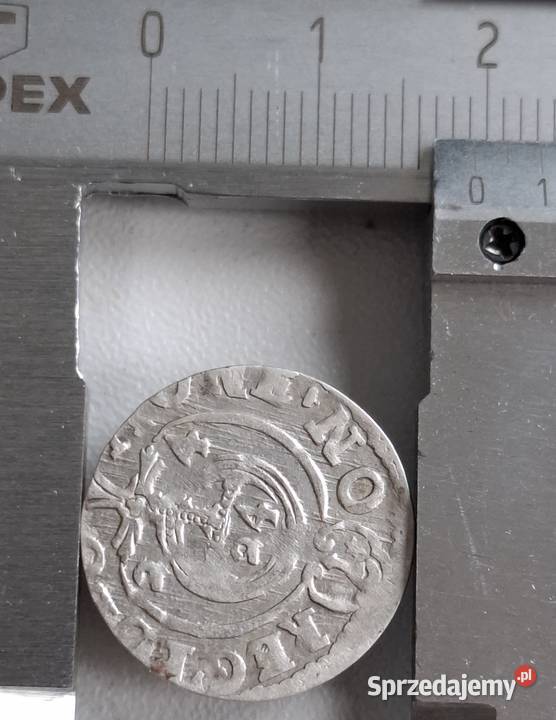 1 Półtorak Zygmunt III Waza Bydgoszcz 1624 pomorskie