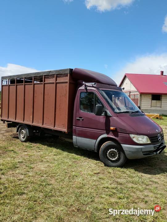 Mercedes sprinter 22 cdi do przewozu zwierząt Dąbrowa Białostocka