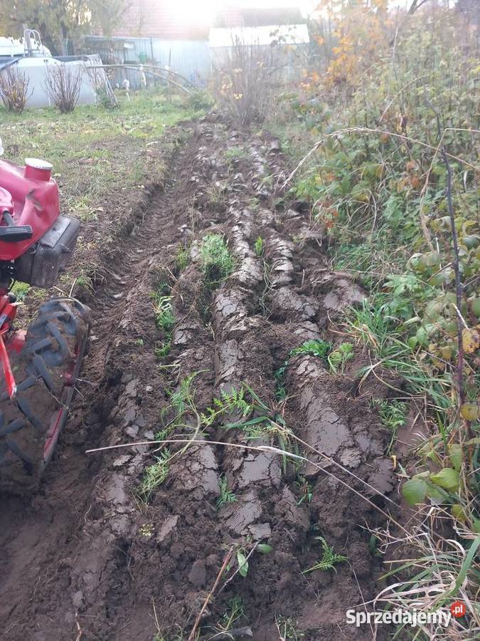 Traktorki jednoosiowe gudbrod terra vari Bolesławiec