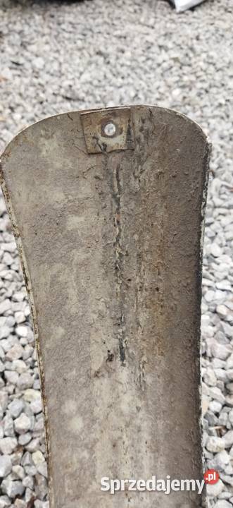 Błotnik płytki ptaki WSK Bąk kos gil lelek Dudek świętokrzyskie Maruszów