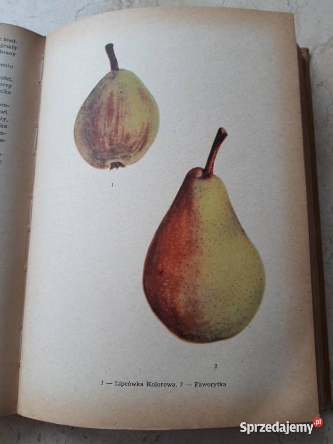 Przewodnik działkowca 1957 śląskie Bielsko-Biała sprzedam