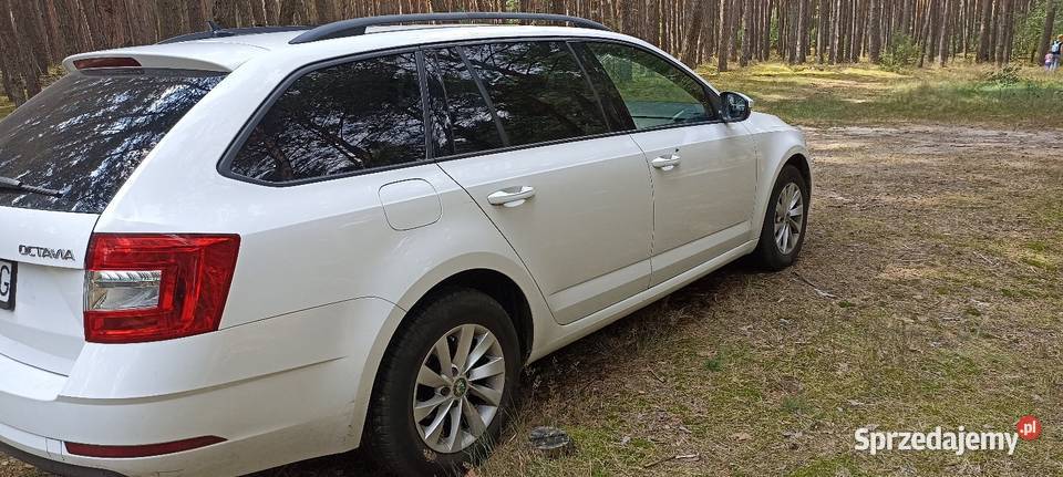 Skoda Octavia Ambition nawigacja Łódź