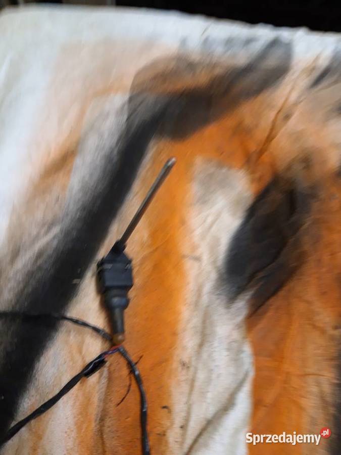 Czujnik temperatury nagrzewnicy Megane 1 Ogrzewanie, wentylacja i klimatyzacja Sandomierz sprzedam