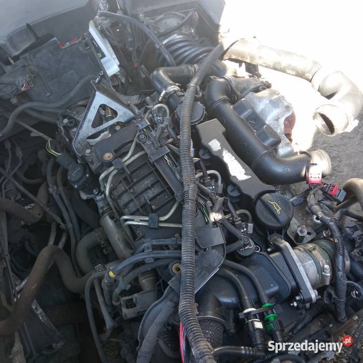 Silnik kompletny ford focus MK2 16 TDCi 109 Silniki kompletne Szczecin