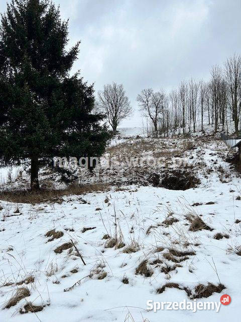 Urocza działka w Grzmiącej z wydanymi warunkami dolnośląskie