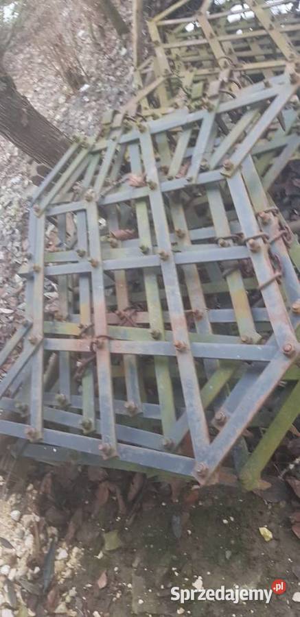 brony ząb 16 Borzęcin