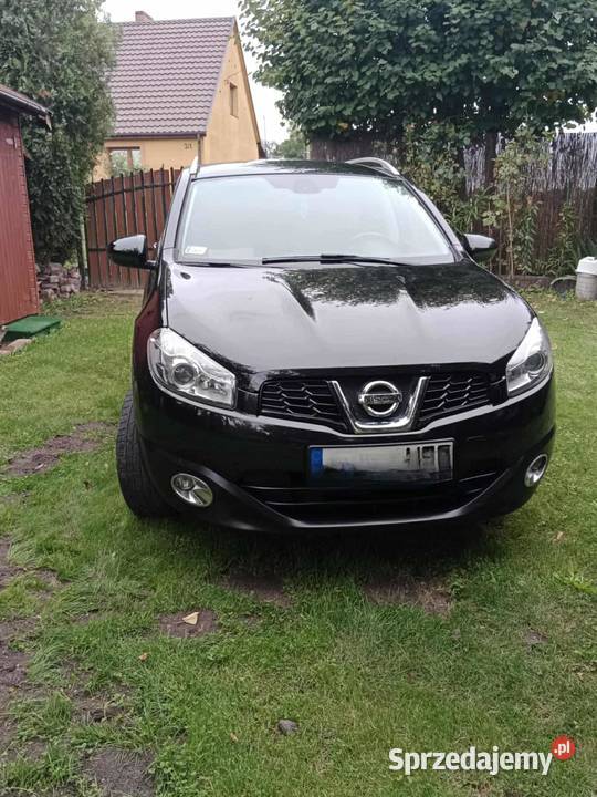 sprzedam qashqaia 16 Izbica Kujawska sprzedam