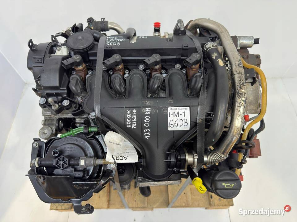 SILNIK G6DB Ford C C 20 TDCI 136 G6DA G6DD G6DG lubelskie