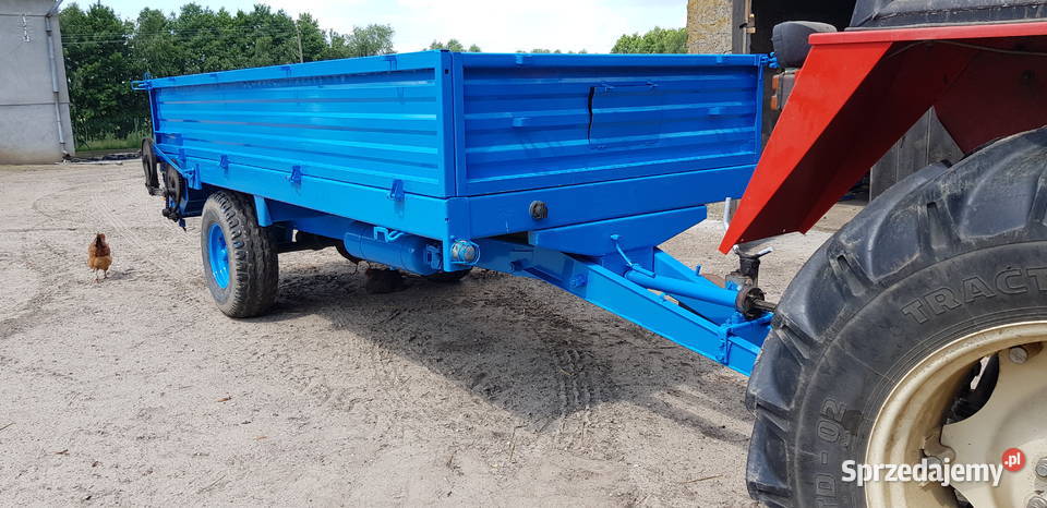 Rozutnik obornika nieuszkodzony kujawsko-pomorskie Kotowy