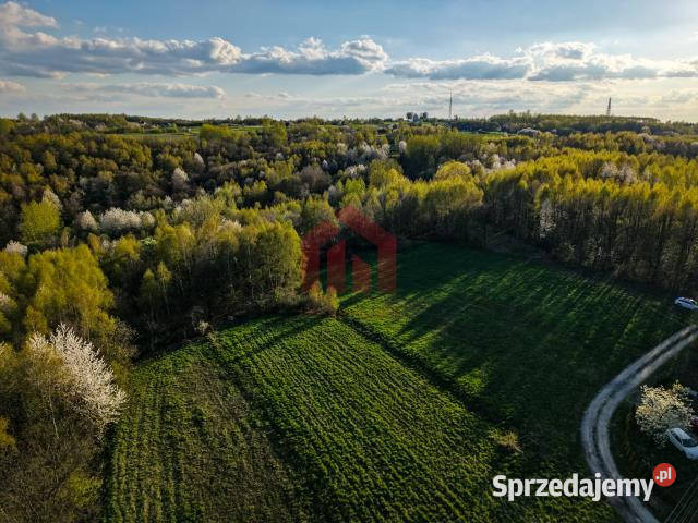Grunt Kraczkowa 33000m2 podkarpackie