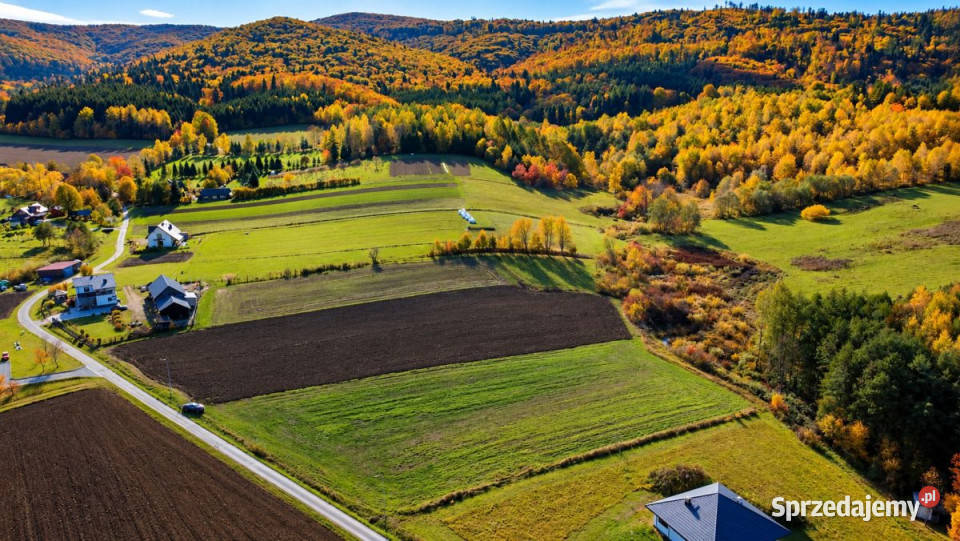 sprzedaży działki 4299m2 Tyrawa Solna