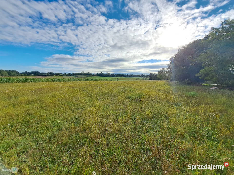Ogłoszenie działka Pierzchnica 6600m2