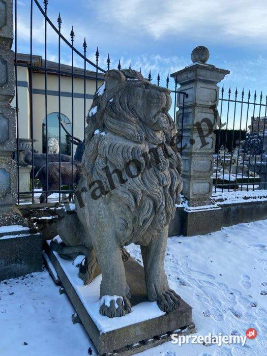 Lew pałacowy H220 figura z Kamienia zachodniopomorskie Szczecin