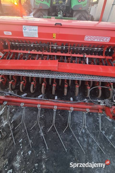 Siewnik Gaspardo Maschio nina 300 Siewniki i sadzarki wielkopolskie