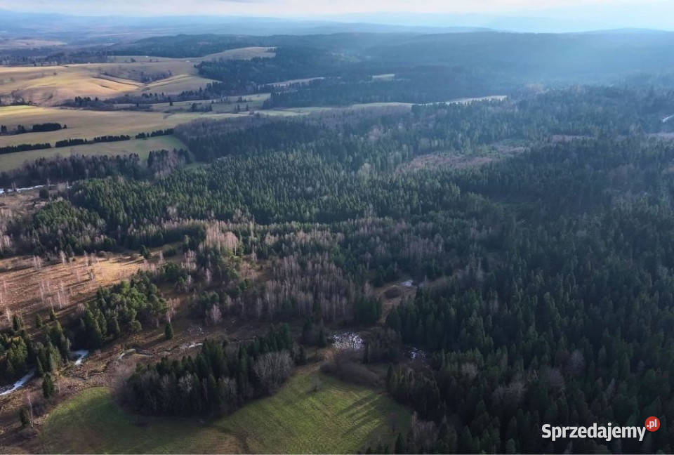 Działka Czarna 11400m2