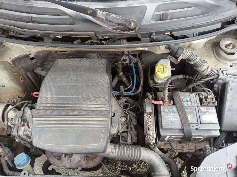 Fiat Panda fl zar w krajuBenzyna Limanowa
