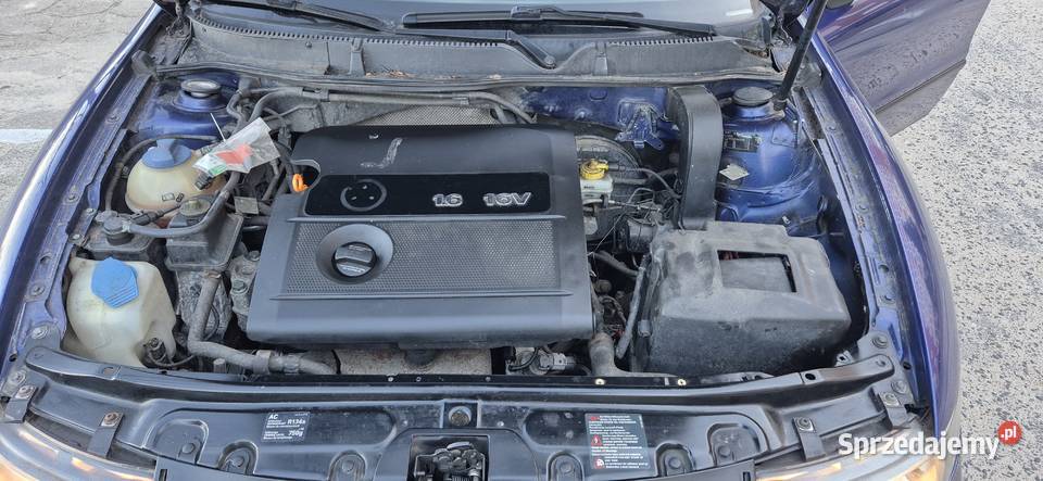 Seat Leon z roku 2002 16 benzyna manualna zachodniopomorskie Szczecin