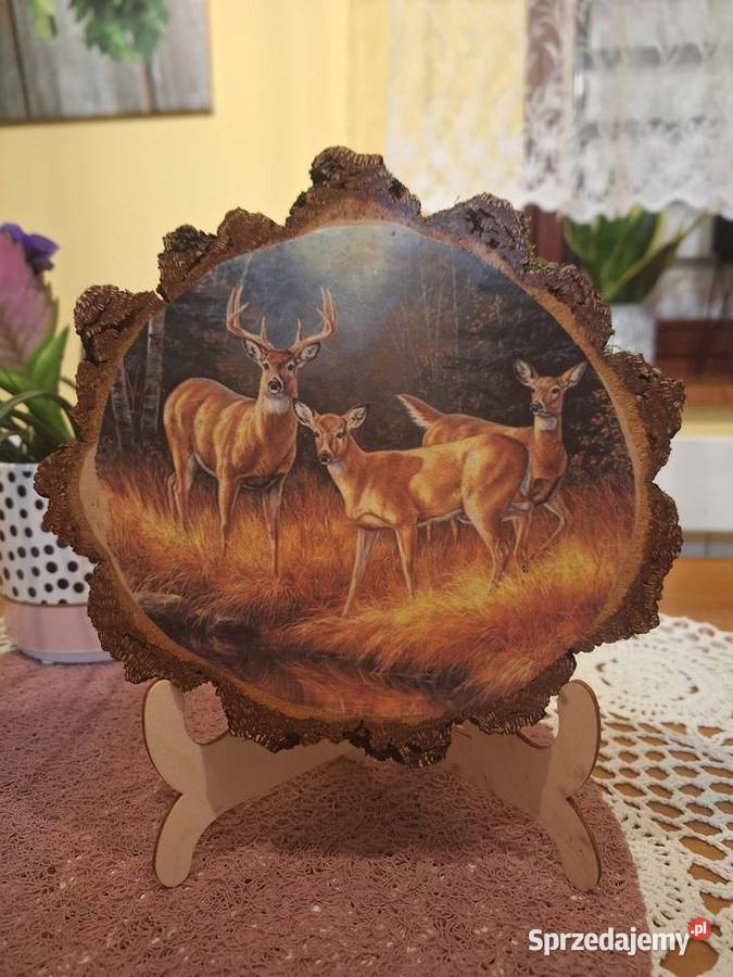 Obrazek na plastrze brzozy Strzyżów sprzedam