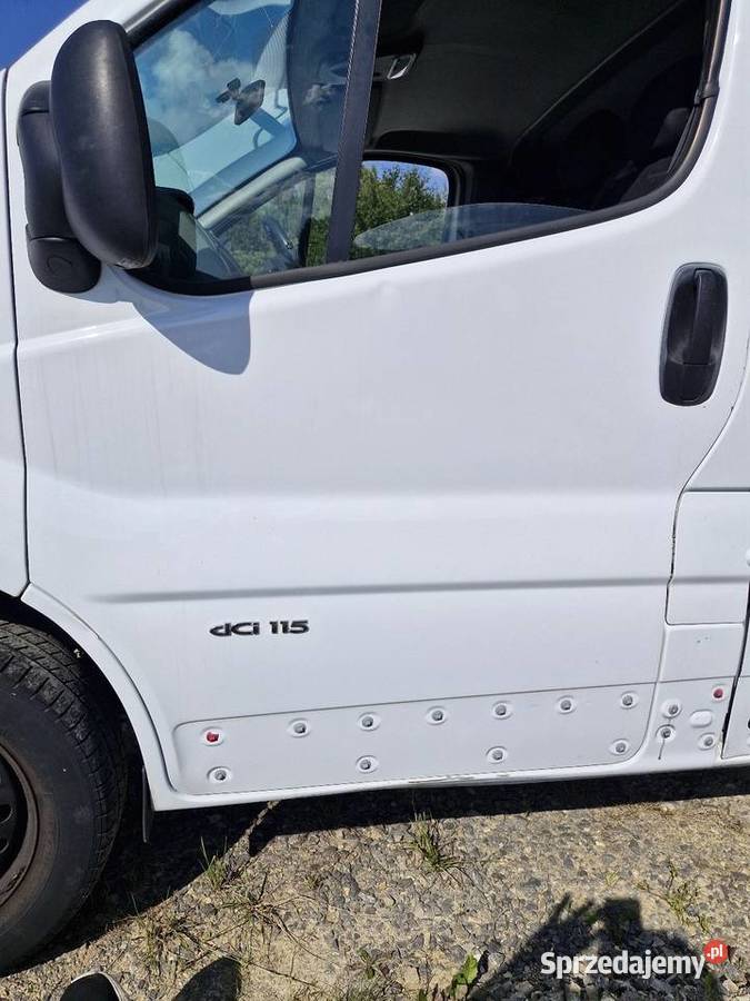 Renault Trafic Viavro II Drzwi Błotnik Drzwi Tomaszów Lubelski