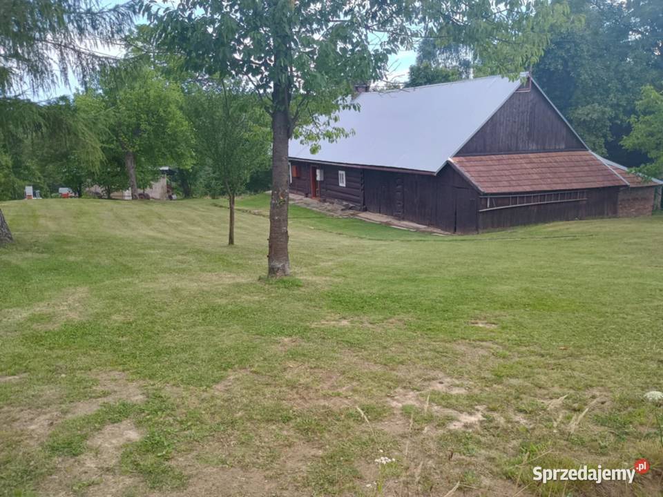 Dom drewniany działka 24ary 150m2 Haczów sprzedam