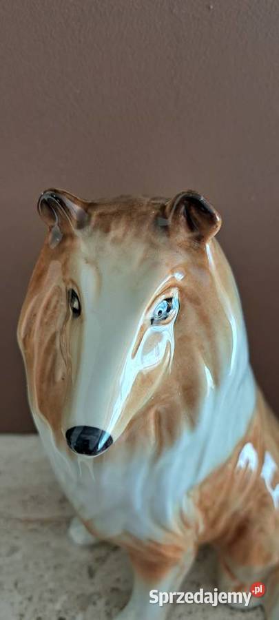 Owczarek szkocki Collie porcelanowa figurka duża Figurki i rzeźby Poznań