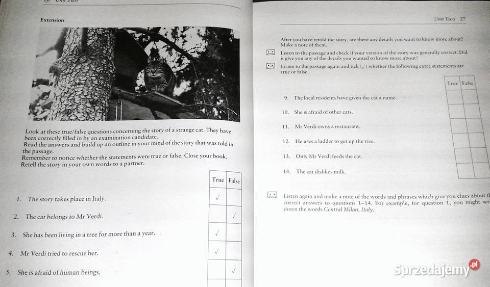 Successful listening for first certificate S Kultura i Rozrywka Chełm