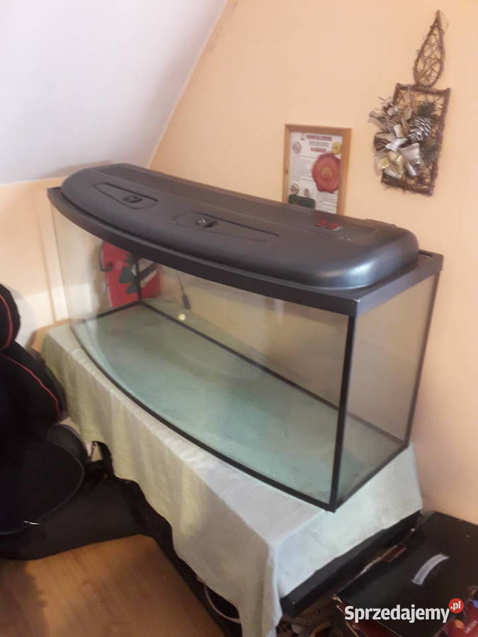 Akwarium 400 litrów Sulechów