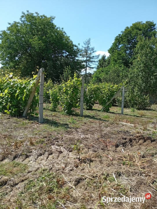 Sprzedam działkę budowlaną Ludwinów