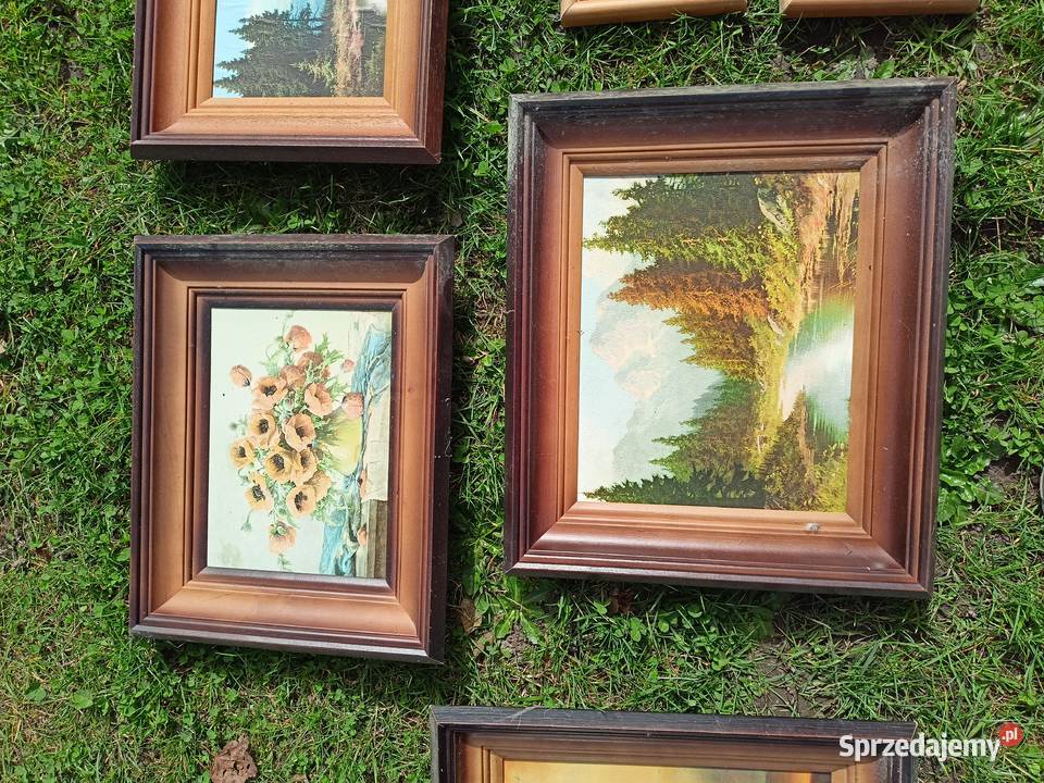 Obrazy obrazki podkarpackie Sokołów Małopolski